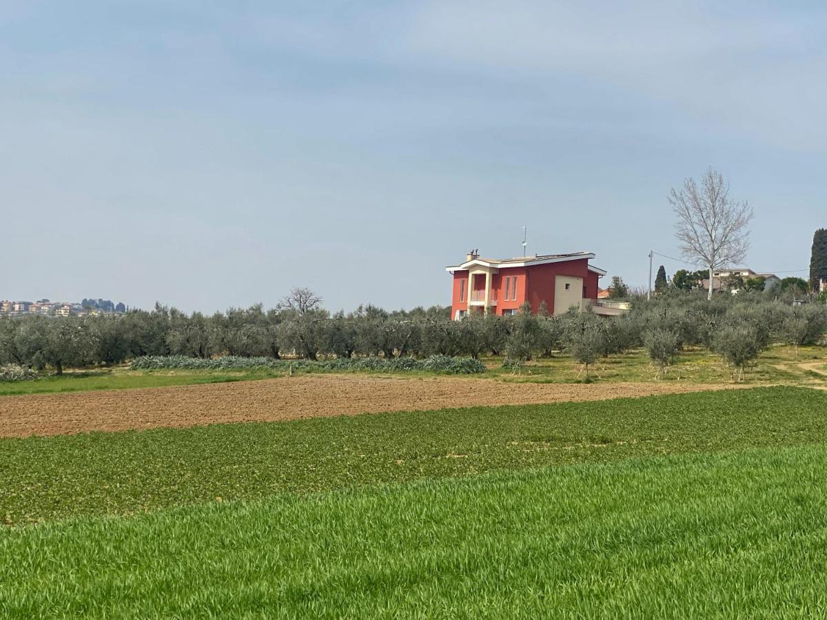Olea B&B Montecosaro  Экстерьер фото